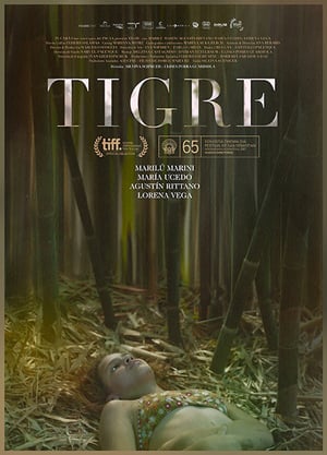 En dvd sur amazon Tigre