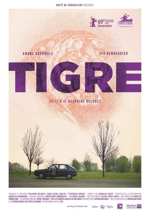 En dvd sur amazon Tigre