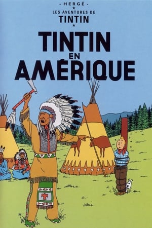 En dvd sur amazon Tintin en Amérique
