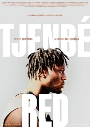 En dvd sur amazon Tjenbé Red