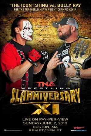 En dvd sur amazon TNA Slammiversary XI