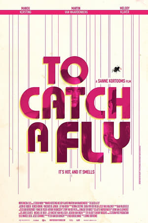 En dvd sur amazon To Catch a Fly