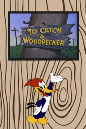 En dvd sur amazon To Catch a Woodpecker