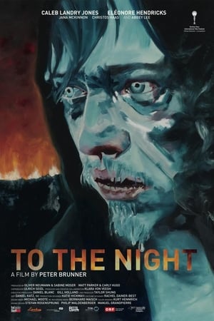 En dvd sur amazon To the Night