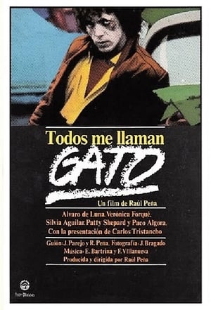 En dvd sur amazon Todos me llaman Gato