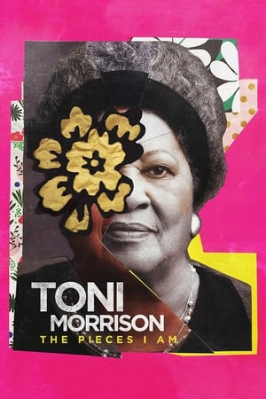 En dvd sur amazon Toni Morrison: The Pieces I Am