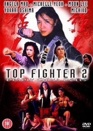 En dvd sur amazon Top Fighter 2