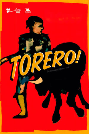 En dvd sur amazon Torero!