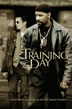En dvd sur amazon Training Day