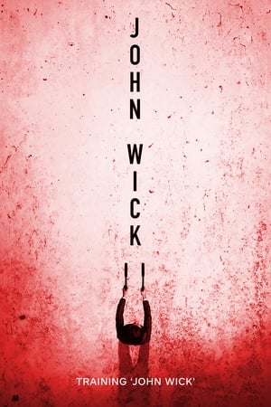 En dvd sur amazon Training 'John Wick'
