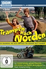 Trampen nach Norden