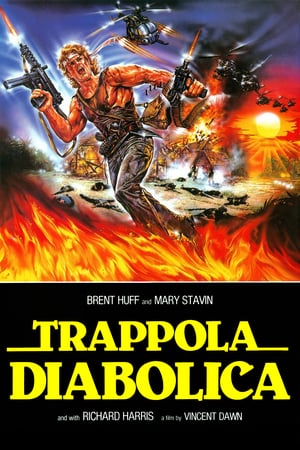 En dvd sur amazon Trappola diabolica