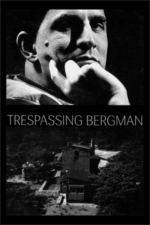 En dvd sur amazon Trespassing Bergman