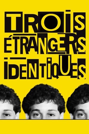 En dvd sur amazon Three Identical Strangers
