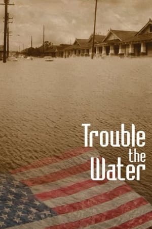 En dvd sur amazon Trouble the Water