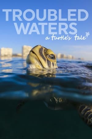 En dvd sur amazon Troubled Waters: A Turtle's Tale