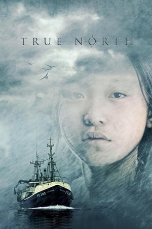 En dvd sur amazon True North
