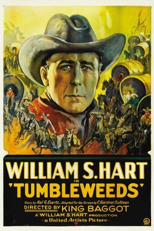 En dvd sur amazon Tumbleweeds