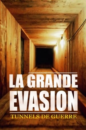 En dvd sur amazon Tunnels de guerre : la grande évasion