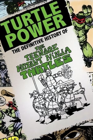 En dvd sur amazon Turtle Power: The Definitive History of the Teenage Mutant Ninja Turtles