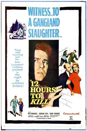 En dvd sur amazon Twelve Hours to Kill