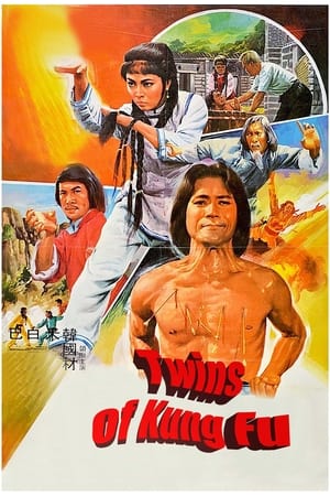 En dvd sur amazon Twins of Kung Fu