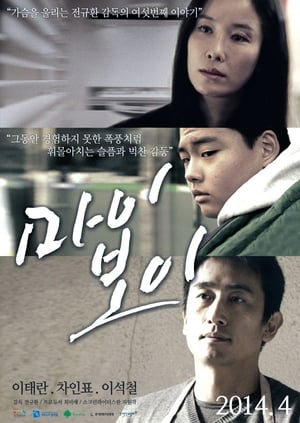 En dvd sur amazon 마이보이