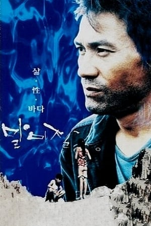 En dvd sur amazon 말미잘