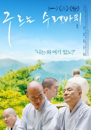 En dvd sur amazon 구르는 수레바퀴