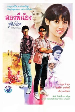 En dvd sur amazon สองพี่น้อง