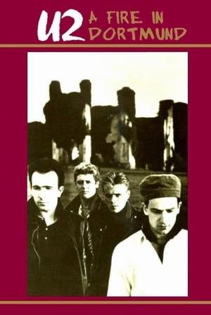 En dvd sur amazon U2: A Fire in Dortmund