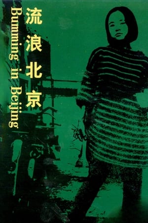 En dvd sur amazon 流浪北京