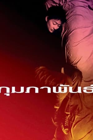 En dvd sur amazon กุมภาพันธ์