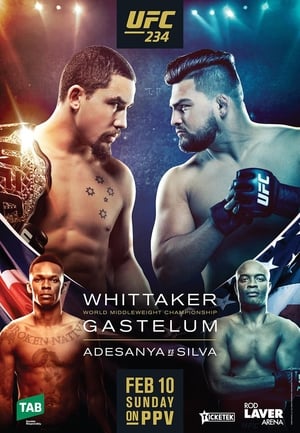 En dvd sur amazon UFC 234: Adesanya vs. Silva