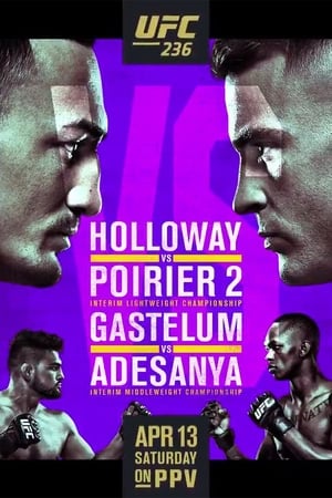 En dvd sur amazon UFC 236: Holloway vs. Poirier 2