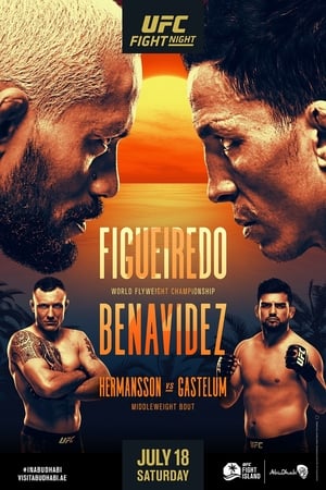 En dvd sur amazon UFC Fight Night 172: Figueiredo vs. Benavidez 2