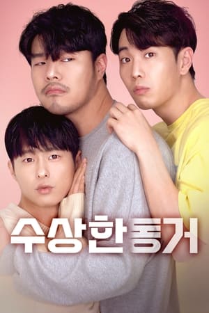 En dvd sur amazon 수상한 동거