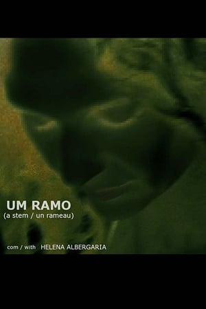 En dvd sur amazon Um Ramo