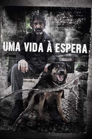 En dvd sur amazon Uma Vida À Espera