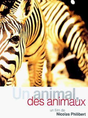 En dvd sur amazon Un animal, des animaux
