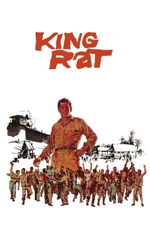 En dvd sur amazon King Rat