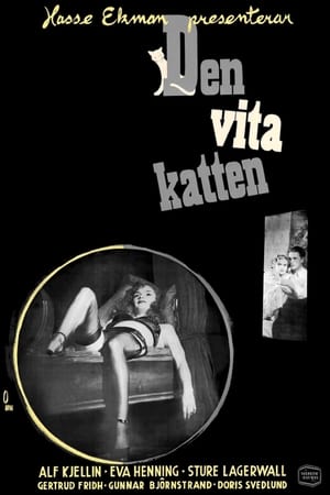 En dvd sur amazon Den vita katten