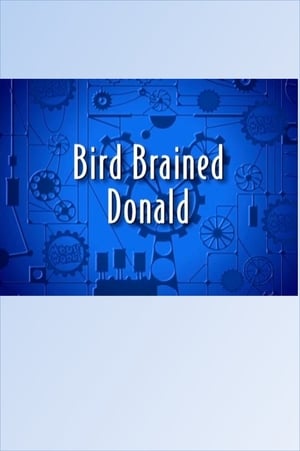 En dvd sur amazon Bird Brained Donald