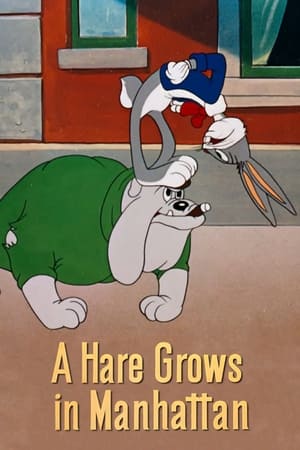En dvd sur amazon A Hare Grows in Manhattan