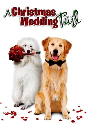 En dvd sur amazon A Christmas Wedding Tail