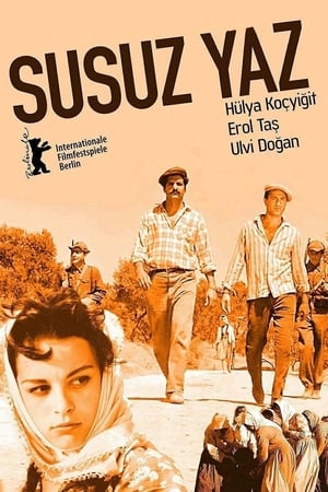 En dvd sur amazon Susuz Yaz