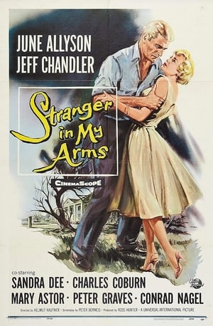 En dvd sur amazon A Stranger in My Arms