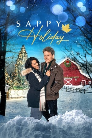 En dvd sur amazon Sappy Holiday