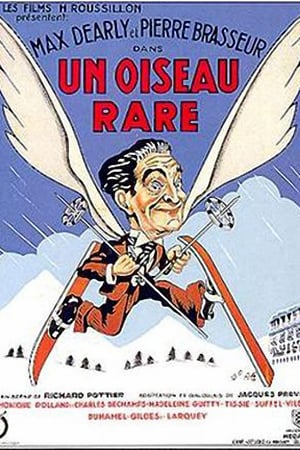 En dvd sur amazon Un oiseau rare