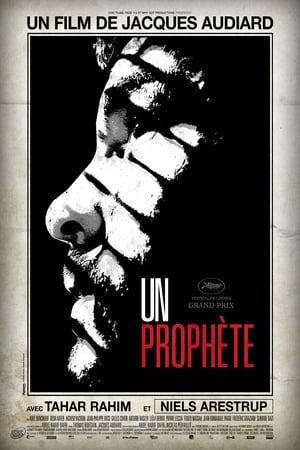 En dvd sur amazon Un prophète